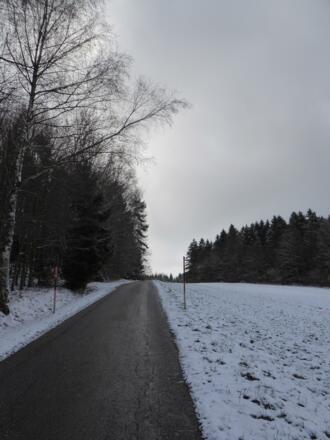 Aufstieg auf den Bichelberg :-)