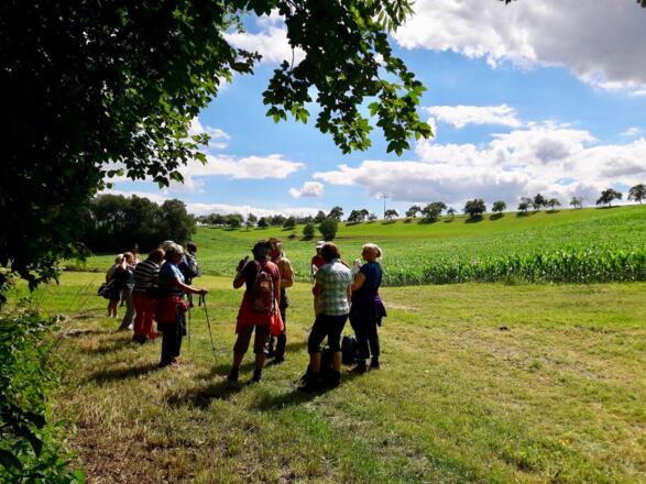 Am Elisabethszeller Bach mit Blick zur Obstbaumreihe nach Autsdorf