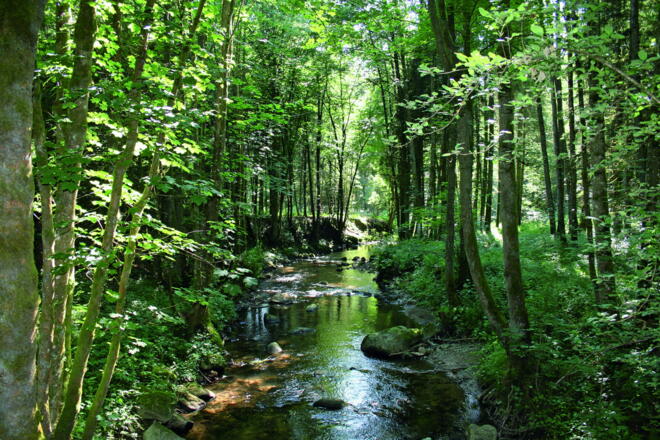 Perlbachtal entlang des Donau-Regen-Radweges