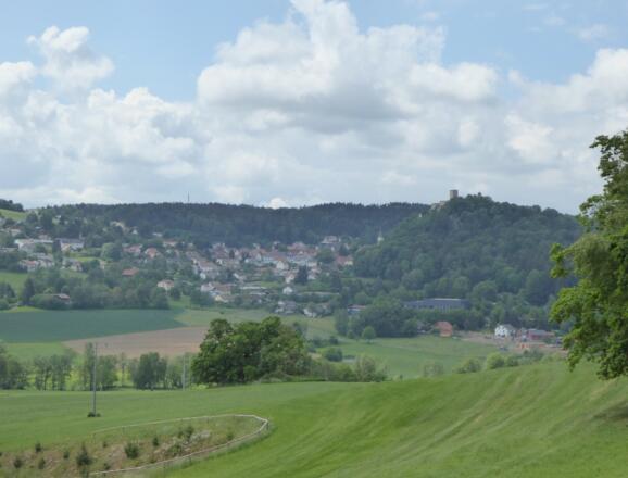 Blick auf Falkenstein