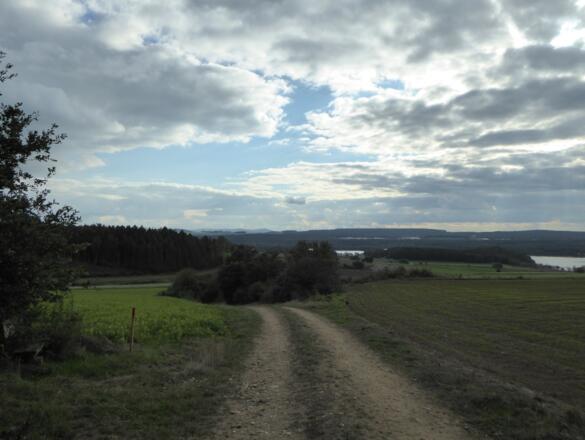 Blick auf Hofenstetten