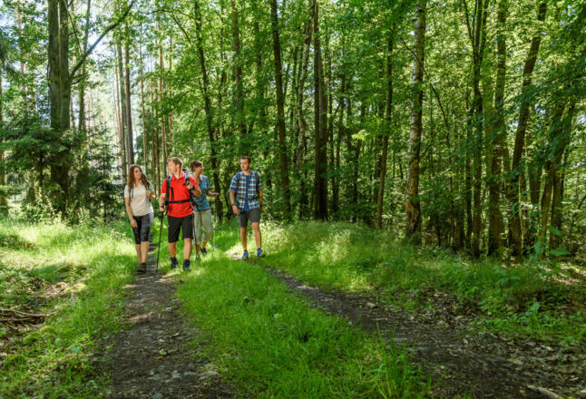 Wandern in Coburg.Rennsteig
