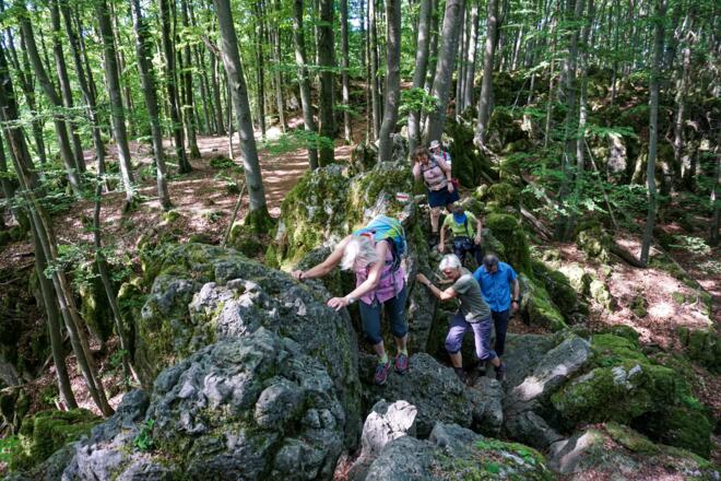 Der abenteuerliche Eibengrat