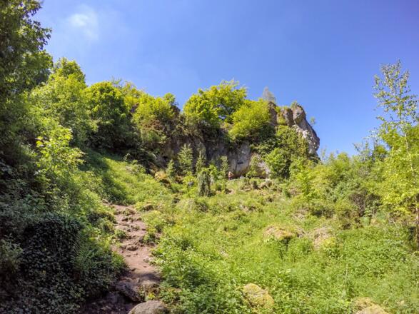 Blick zum Quakenschloß