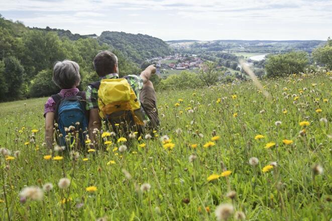 Donauhänge bei Oberndorf