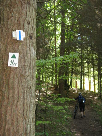 Das Wegzeichen, stilisierter Mountainbiker begleitet uns bis Pegnitz!