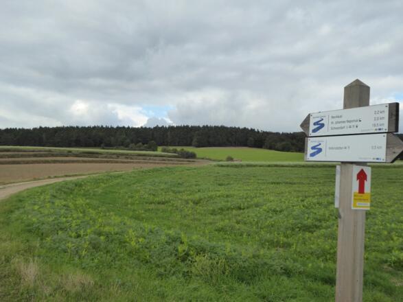 Blick zurück auf den Büchlberg