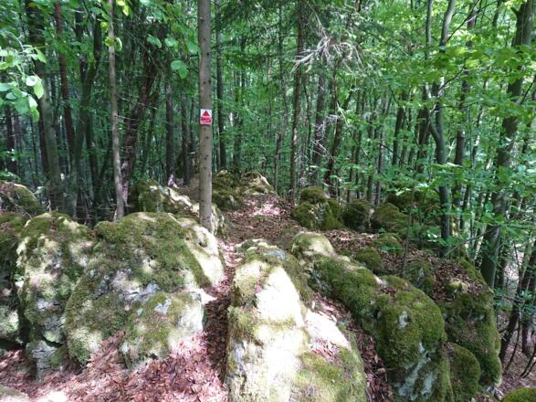 Am höchsten Punkt der Tour - Großer Berg (539 m)