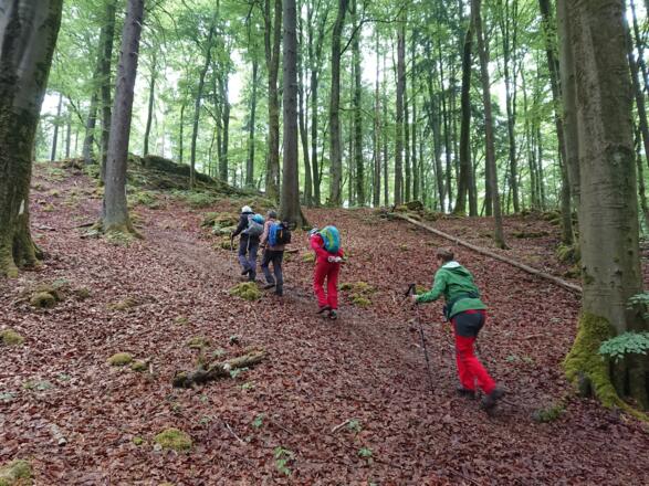 Sanfte Anstiege während der Tour