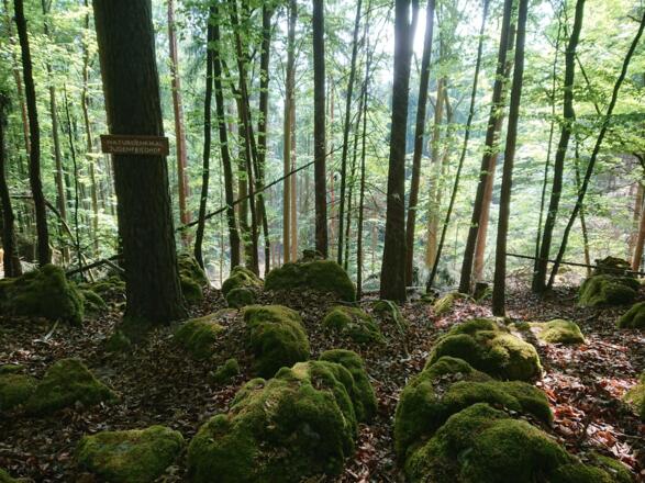 Am so genannten &quot;Judenfriedhof&quot; bei Plech