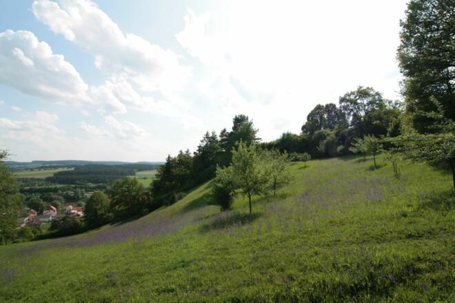 Oberndorfer Hänge in Bad Abbach, Ortsteil Oberndorf