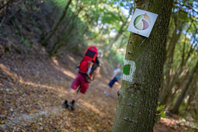 Markierungszeichen des Felsenwegs bei Bad Abbach