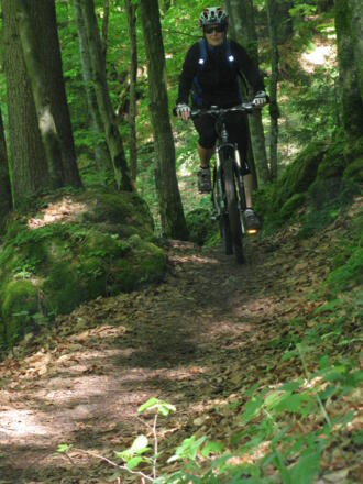 Der Weg wird schmäler, von Moos überwachsene Felsen rahmen unseren Pfad ein!
