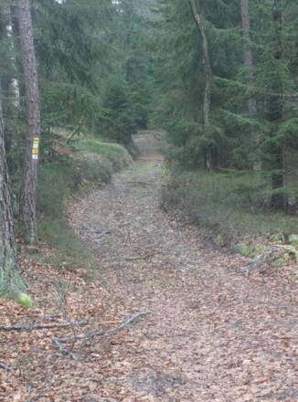 Aufsteig auf den Eichelstein