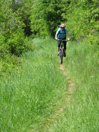 Der Singletrail vor Pegnitz!