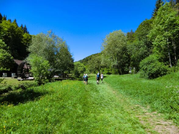 Kurz vor der Kuchenmühle
