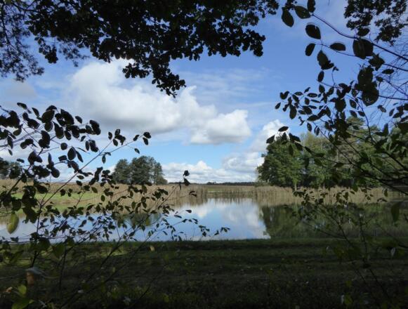 Charlottenhofer Weihergebiet