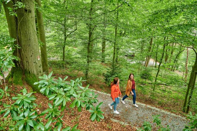 Haspelanlage Bad Berneck