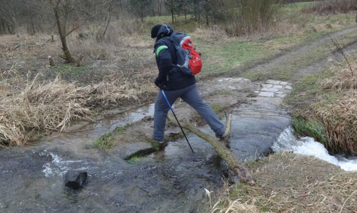&quot;Der reißende Steinbach&quot;