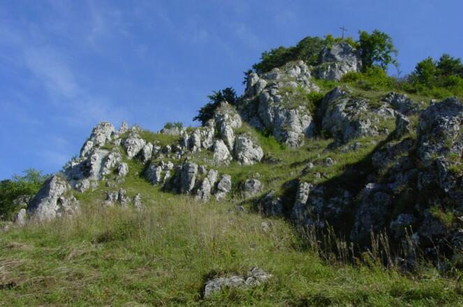 Typische Juralandschaft im Altmühltal