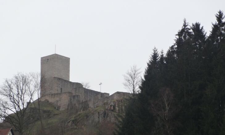 Burg Murach
