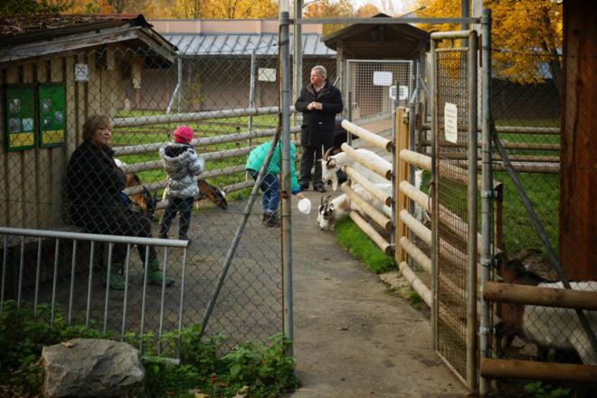 Wildgehege im Kurpark Bad Abbach
