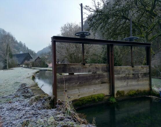 Alter Mühlbach im Kleinziegenfelder Tal
