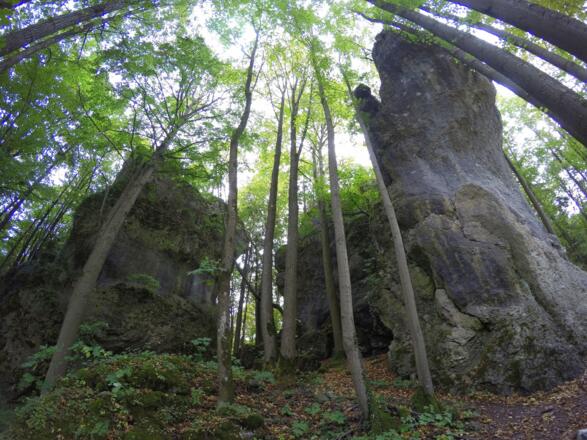Die Hungenberger Wand, in der sich auch eine Durchgangshöhle befindet