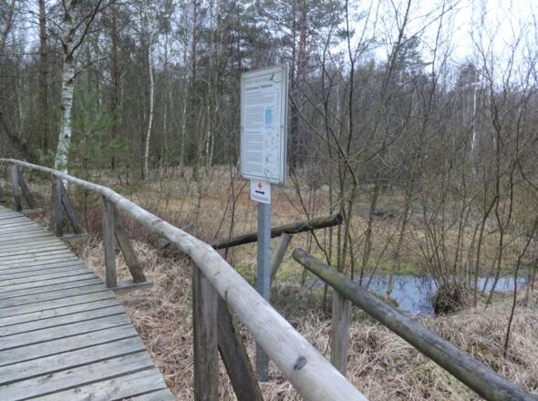 Holzsteg im Kulzer Moos
