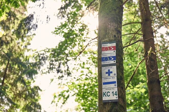 Markierungszeichen am Weg