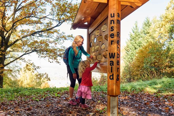 Waldlehrpfad Rehberg