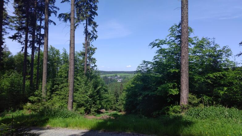 Blick auf Titschendorf