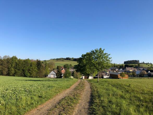 Blick auf Steinbach mit Langesbühl