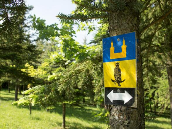 Landschaft bei Marktzeuln