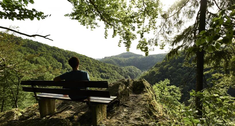 Auf dem Forstmeistersprung über dem Steinachtal