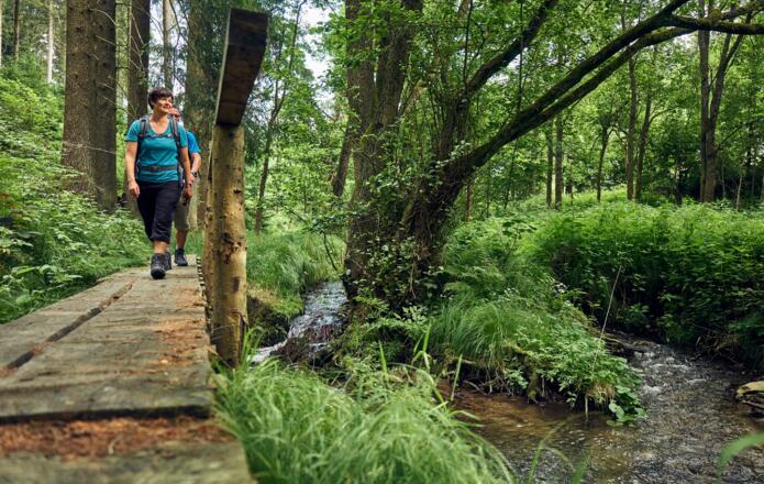 Auf dem Steg am großen Rehbach