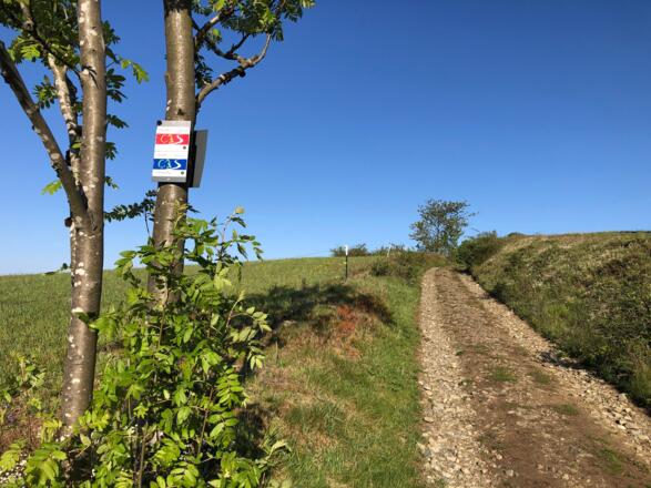 Weg zu den 12 Aposteln