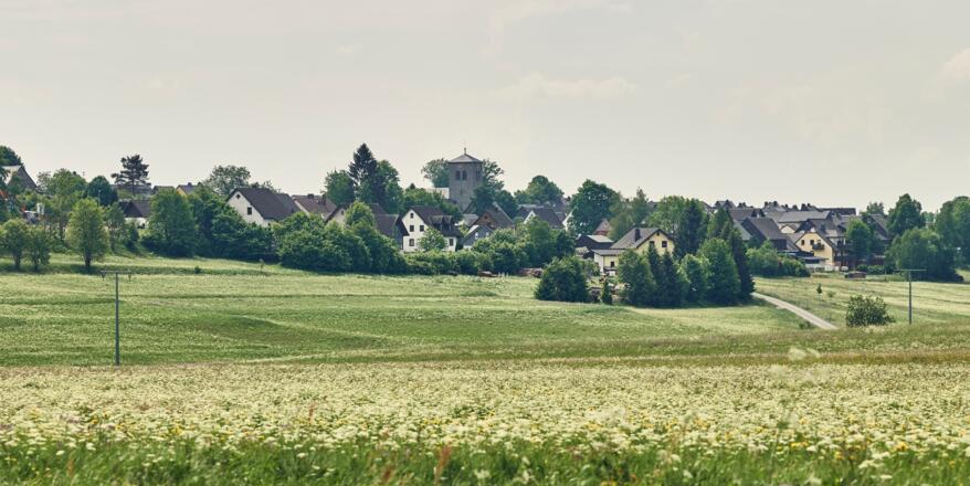Blick von der Teuschnitz-Aue auf Teuschnitz