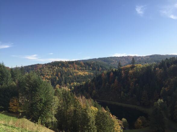 Blick über den Frankenwald