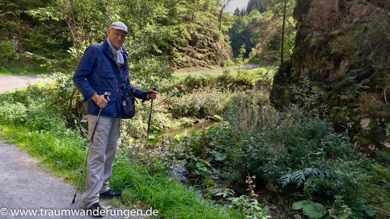 In der Steinachklamm