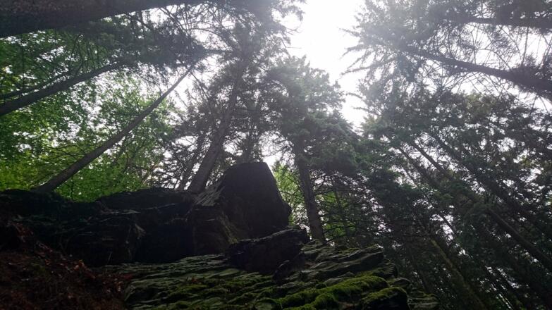 Felsen im Naturschutzgebiet