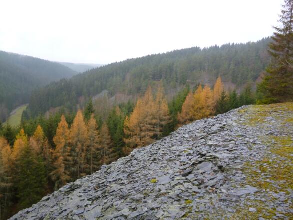 Halde des Liebes Dachschieferbruch, der auf dem Weg zum Schallersbruch überquert wird.