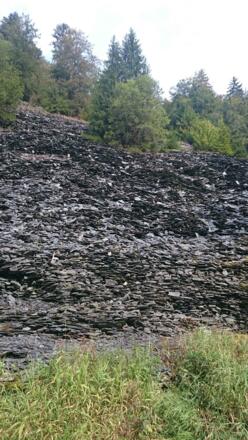 Die Schieferhalde bei Dürrenwaiderhammer