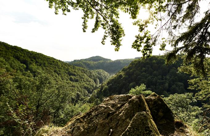 Aussicht vom Forstmeistersprung über das Steinachtal