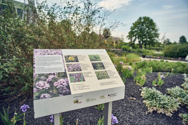 Kräuter Lehr- und Schaugarten an der Arnika Akademie Teuschnitz