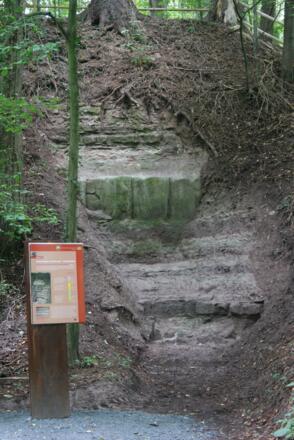 Station 10: Historischer Steinbruch (Paläoböden) - Bodenprofil