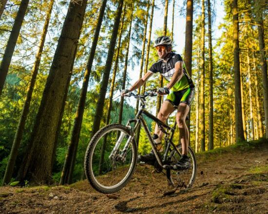 Mountainbiking am Rennsteig