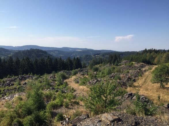 Blick vom Nurner Brocken über den Frankenwald