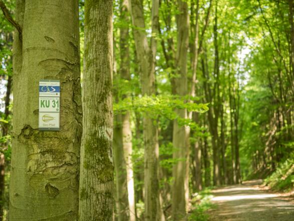 Markierungszeichen am Weg