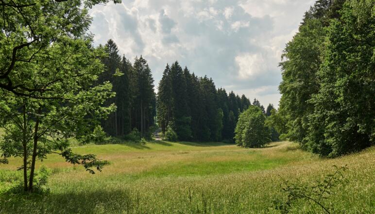 Wiesengrund bei der ehemaligen Achatzmühle